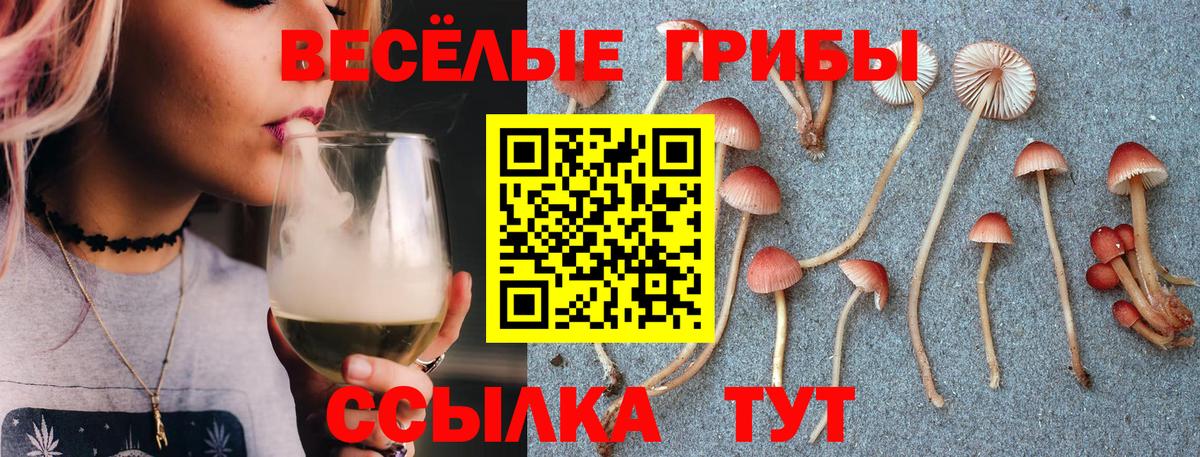 Галлюциногенные грибы прущие грибы Ликино-Дулёво